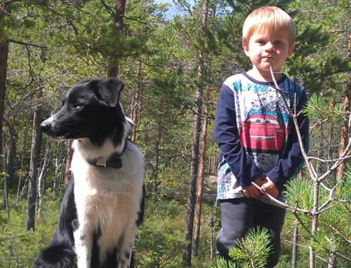 Fortellingen om pandemien